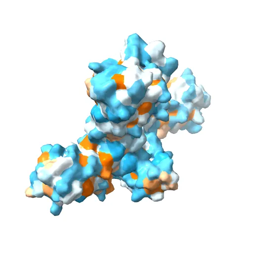 Crystal structure of the IL4-IL4R-Common Gamma ternary complex — Фото 3 из 13