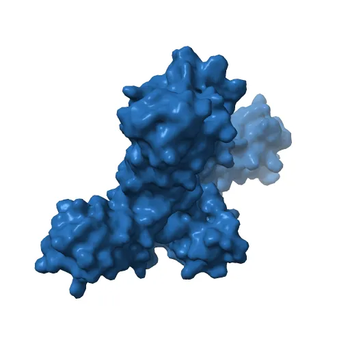 Crystal structure of the IL4-IL4R-Common Gamma ternary complex — Фото 4 из 13