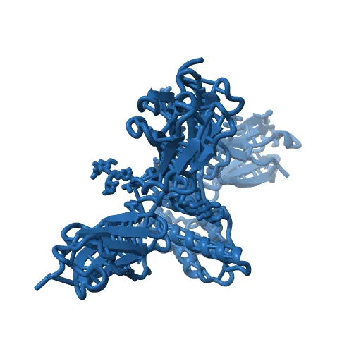 Crystal structure of the IL4-IL4R-Common Gamma ternary complex — Фото 7 из 13