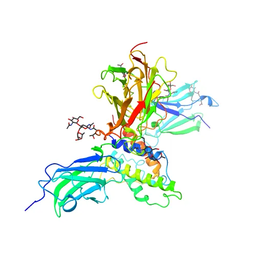Crystal structure of the IL4-IL4R-Common Gamma ternary complex — Фото 10 из 13