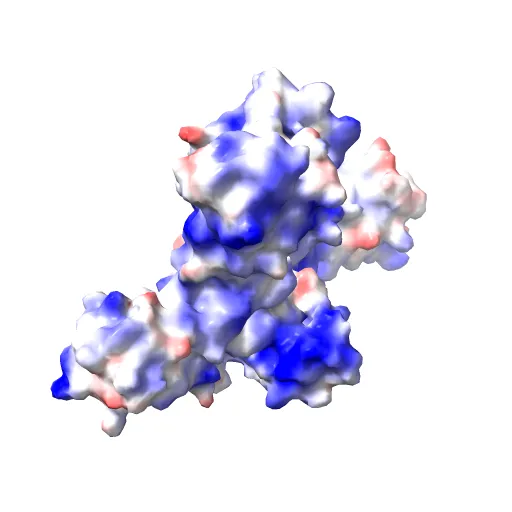 Crystal structure of the IL4-IL4R-Common Gamma ternary complex — Фото 11 из 13
