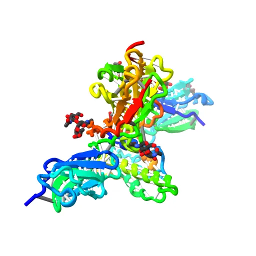 Crystal structure of the IL4-IL4R-Common Gamma ternary complex — Фото 12 из 13
