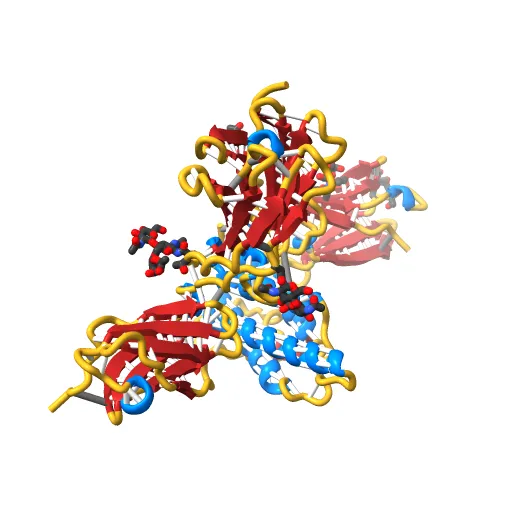 Crystal structure of the IL4-IL4R-Common Gamma ternary complex — Фото 13 из 13