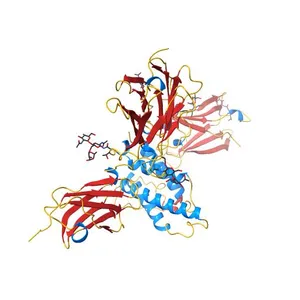 Crystal structure of the IL4-IL4R-Common Gamma ternary complex