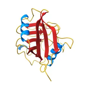 X-RAY STRUCTURE OF A MONOMERIC CYCLOPHILIN A-CYCLOSPORIN A CRYSTAL COMPLEX AT 2.1 ANGSTROMS RESOLUTION