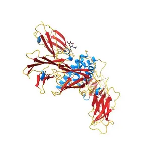 Crystal structure of the IL4-IL4R-IL13Ra ternary complex