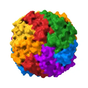 HUMAN H CHAIN FERRITIN