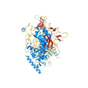 X-ray structure of DROSHA in complex with the C-terminal tail of DGCR8.