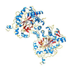 OLD YELLOW ENZYME AT 2 ANGSTROMS RESOLUTION: OVERALL STRUCTURE, LIGAND BINDING AND COMPARISON WITH RELATED FLAVOPROTEINS