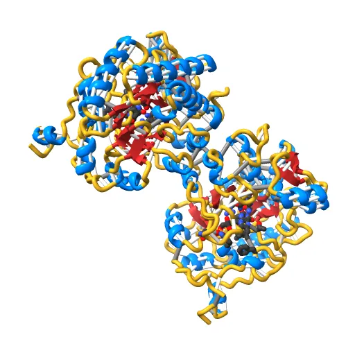 OLD YELLOW ENZYME AT 2 ANGSTROMS RESOLUTION: OVERALL STRUCTURE, LIGAND BINDING AND COMPARISON WITH RELATED FLAVOPROTEINS — Фото 2 из 13