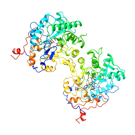 OLD YELLOW ENZYME AT 2 ANGSTROMS RESOLUTION: OVERALL STRUCTURE, LIGAND BINDING AND COMPARISON WITH RELATED FLAVOPROTEINS — Фото 4 из 13