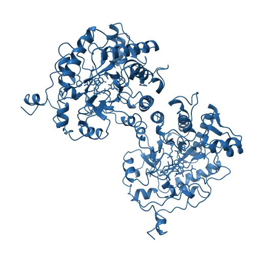 OLD YELLOW ENZYME AT 2 ANGSTROMS RESOLUTION: OVERALL STRUCTURE, LIGAND BINDING AND COMPARISON WITH RELATED FLAVOPROTEINS — Фото 5 из 13