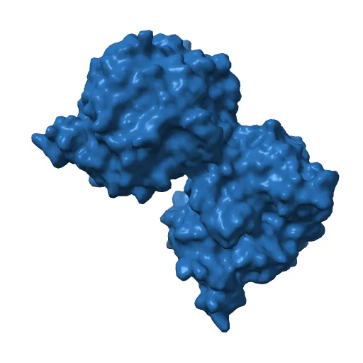 OLD YELLOW ENZYME AT 2 ANGSTROMS RESOLUTION: OVERALL STRUCTURE, LIGAND BINDING AND COMPARISON WITH RELATED FLAVOPROTEINS — Фото 6 из 13