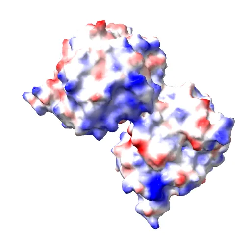 OLD YELLOW ENZYME AT 2 ANGSTROMS RESOLUTION: OVERALL STRUCTURE, LIGAND BINDING AND COMPARISON WITH RELATED FLAVOPROTEINS — Фото 7 из 13