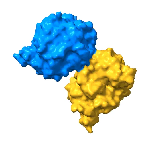 OLD YELLOW ENZYME AT 2 ANGSTROMS RESOLUTION: OVERALL STRUCTURE, LIGAND BINDING AND COMPARISON WITH RELATED FLAVOPROTEINS — Фото 9 из 13