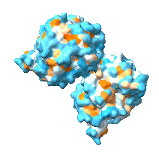 OLD YELLOW ENZYME AT 2 ANGSTROMS RESOLUTION: OVERALL STRUCTURE, LIGAND BINDING AND COMPARISON WITH RELATED FLAVOPROTEINS — Фото 10 из 13