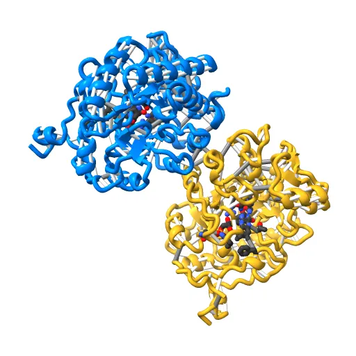 OLD YELLOW ENZYME AT 2 ANGSTROMS RESOLUTION: OVERALL STRUCTURE, LIGAND BINDING AND COMPARISON WITH RELATED FLAVOPROTEINS — Фото 11 из 13