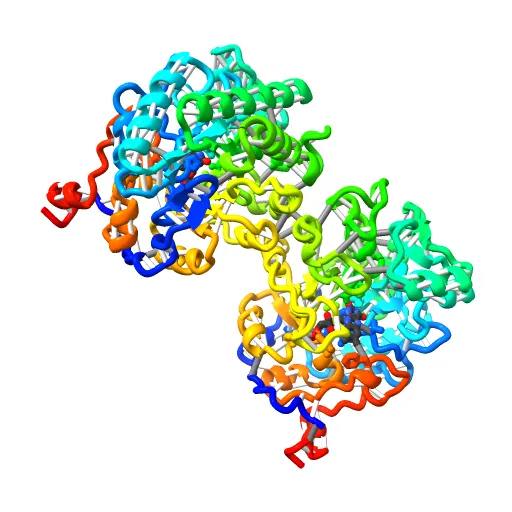 OLD YELLOW ENZYME AT 2 ANGSTROMS RESOLUTION: OVERALL STRUCTURE, LIGAND BINDING AND COMPARISON WITH RELATED FLAVOPROTEINS — Фото 12 из 13
