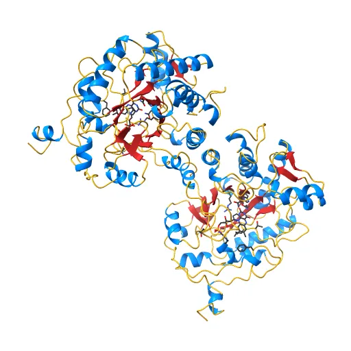 OLD YELLOW ENZYME AT 2 ANGSTROMS RESOLUTION: OVERALL STRUCTURE, LIGAND BINDING AND COMPARISON WITH RELATED FLAVOPROTEINS — Фото 13 из 13