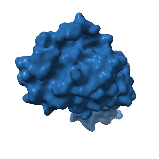 REFINED CRYSTAL STRUCTURE OF THE TRIPHOSPHATE CONFORMATION OF H-RAS P21 AT 1.35 ANGSTROMS RESOLUTION: IMPLICATIONS FOR THE MECHANISM OF GTP HYDROLYSIS — Фото 2 из 13