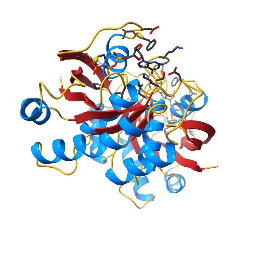 REFINED CRYSTAL STRUCTURE OF THE TRIPHOSPHATE CONFORMATION OF H-RAS P21 AT 1.35 ANGSTROMS RESOLUTION: IMPLICATIONS FOR THE MECHANISM OF GTP HYDROLYSIS — Фото 3 из 13