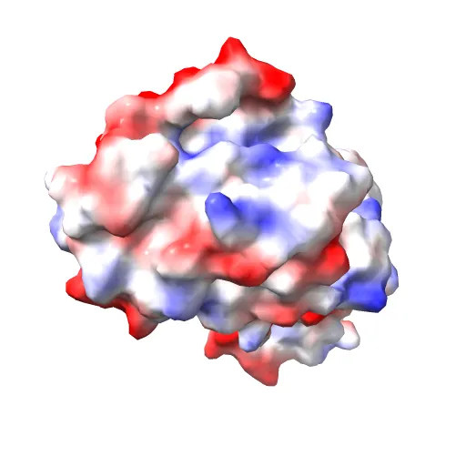 REFINED CRYSTAL STRUCTURE OF THE TRIPHOSPHATE CONFORMATION OF H-RAS P21 AT 1.35 ANGSTROMS RESOLUTION: IMPLICATIONS FOR THE MECHANISM OF GTP HYDROLYSIS — Фото 4 из 13