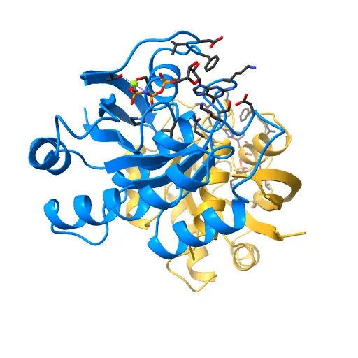 REFINED CRYSTAL STRUCTURE OF THE TRIPHOSPHATE CONFORMATION OF H-RAS P21 AT 1.35 ANGSTROMS RESOLUTION: IMPLICATIONS FOR THE MECHANISM OF GTP HYDROLYSIS — Фото 5 из 13
