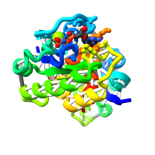 REFINED CRYSTAL STRUCTURE OF THE TRIPHOSPHATE CONFORMATION OF H-RAS P21 AT 1.35 ANGSTROMS RESOLUTION: IMPLICATIONS FOR THE MECHANISM OF GTP HYDROLYSIS — Фото 6 из 13