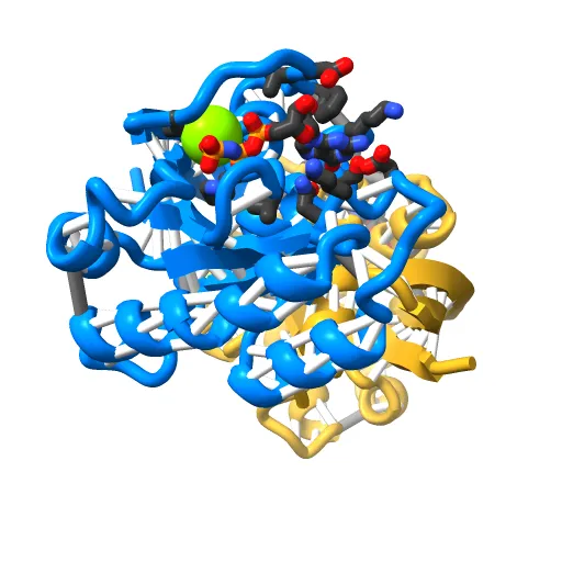 REFINED CRYSTAL STRUCTURE OF THE TRIPHOSPHATE CONFORMATION OF H-RAS P21 AT 1.35 ANGSTROMS RESOLUTION: IMPLICATIONS FOR THE MECHANISM OF GTP HYDROLYSIS — Фото 7 из 13