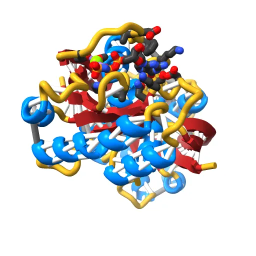 REFINED CRYSTAL STRUCTURE OF THE TRIPHOSPHATE CONFORMATION OF H-RAS P21 AT 1.35 ANGSTROMS RESOLUTION: IMPLICATIONS FOR THE MECHANISM OF GTP HYDROLYSIS — Фото 8 из 13