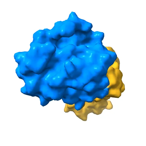 REFINED CRYSTAL STRUCTURE OF THE TRIPHOSPHATE CONFORMATION OF H-RAS P21 AT 1.35 ANGSTROMS RESOLUTION: IMPLICATIONS FOR THE MECHANISM OF GTP HYDROLYSIS — Фото 9 из 13