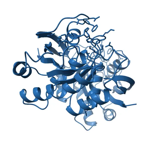 REFINED CRYSTAL STRUCTURE OF THE TRIPHOSPHATE CONFORMATION OF H-RAS P21 AT 1.35 ANGSTROMS RESOLUTION: IMPLICATIONS FOR THE MECHANISM OF GTP HYDROLYSIS — Фото 10 из 13