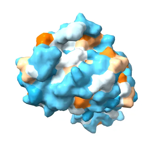 REFINED CRYSTAL STRUCTURE OF THE TRIPHOSPHATE CONFORMATION OF H-RAS P21 AT 1.35 ANGSTROMS RESOLUTION: IMPLICATIONS FOR THE MECHANISM OF GTP HYDROLYSIS — Фото 11 из 13