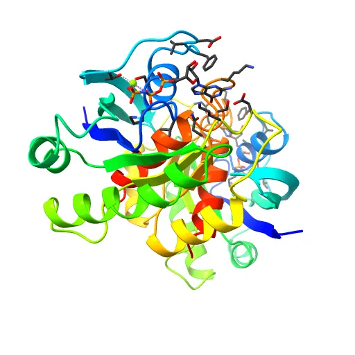 REFINED CRYSTAL STRUCTURE OF THE TRIPHOSPHATE CONFORMATION OF H-RAS P21 AT 1.35 ANGSTROMS RESOLUTION: IMPLICATIONS FOR THE MECHANISM OF GTP HYDROLYSIS — Фото 13 из 13