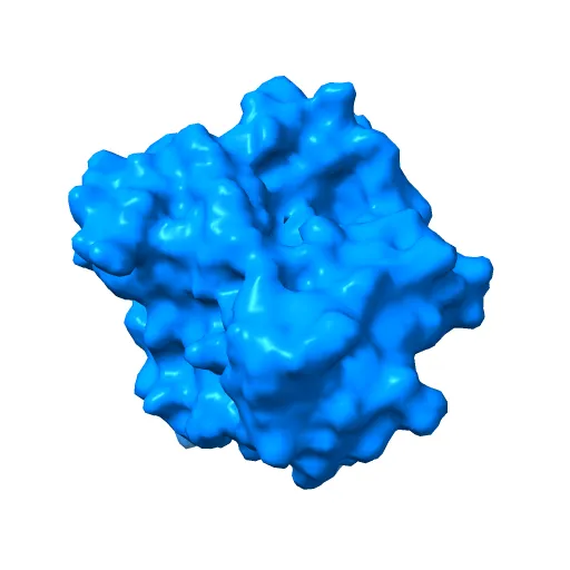 Crystal structure of the PvcA (PA2254) protein from Pseudomonas aeruginosa — Фото 2 из 13