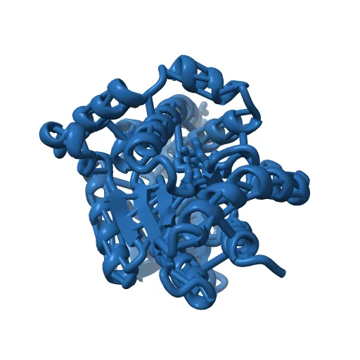 Crystal structure of the PvcA (PA2254) protein from Pseudomonas aeruginosa — Фото 4 из 13
