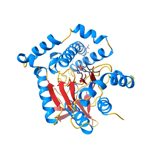 Crystal structure of the PvcA (PA2254) protein from Pseudomonas aeruginosa — Фото 5 из 13