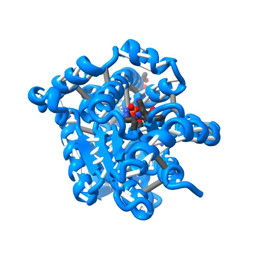 Crystal structure of the PvcA (PA2254) protein from Pseudomonas aeruginosa — Фото 6 из 13