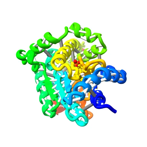 Crystal structure of the PvcA (PA2254) protein from Pseudomonas aeruginosa — Фото 7 из 13