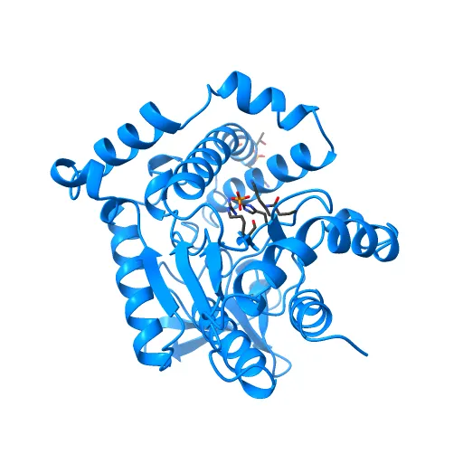 Crystal structure of the PvcA (PA2254) protein from Pseudomonas aeruginosa — Фото 8 из 13