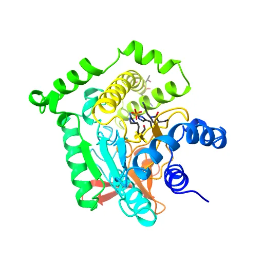 Crystal structure of the PvcA (PA2254) protein from Pseudomonas aeruginosa — Фото 9 из 13