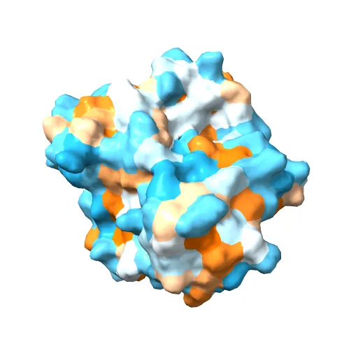 Crystal structure of the PvcA (PA2254) protein from Pseudomonas aeruginosa — Фото 11 из 13