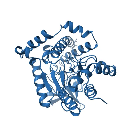 Crystal structure of the PvcA (PA2254) protein from Pseudomonas aeruginosa — Фото 12 из 13