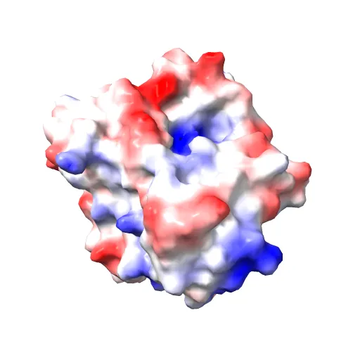 Crystal structure of the PvcA (PA2254) protein from Pseudomonas aeruginosa — Фото 13 из 13
