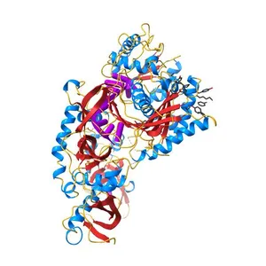 Human Argonaute2 Bound to an siRNA