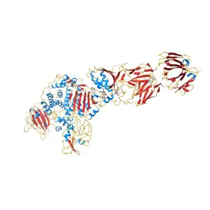 Crystal structure of EBV gHgL/gp42/E1D1 complex