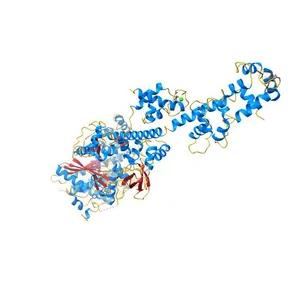 MYOSIN DIGESTED BY PAPAIN