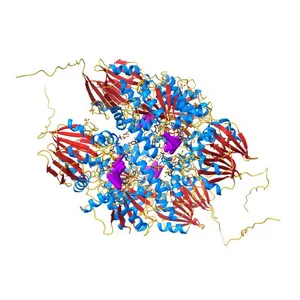 Crystal structure of mpy-RNase J (mutant H84A), an archaeal RNase J from Methanolobus psychrophilus R15, complex with RNA