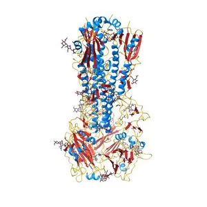 Crystal structure of the A/Hong Kong/1/1968 (H3N2) influenza virus hemagglutinin in complex with the antiviral drug arbidol