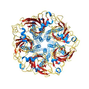Gating movement in acetylcholine receptor analysed by time-resolved electron cryo-microscopy (closed class)